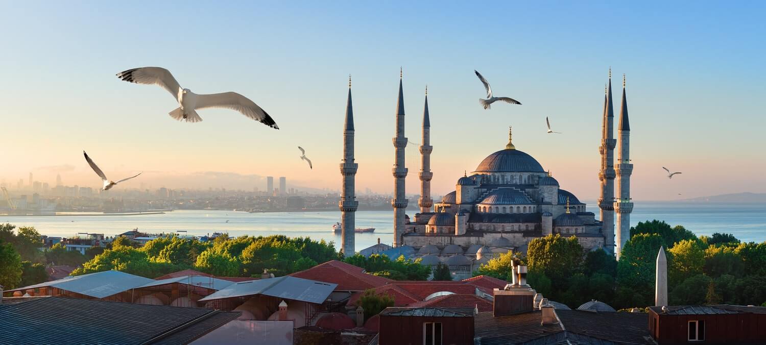Hair Transplant Türkiye Package