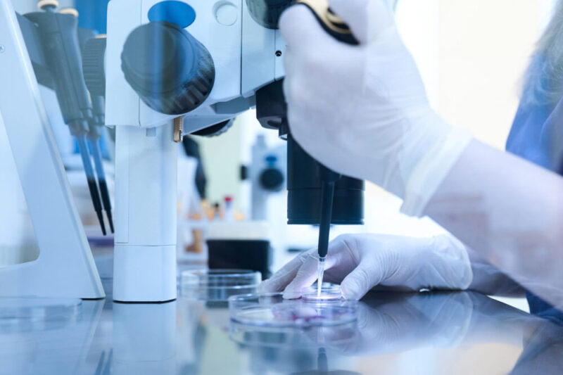 Scientist in a lab performing hair cloning. Close-up picture of his hand with white elastic gloves, manipulating his utensils.