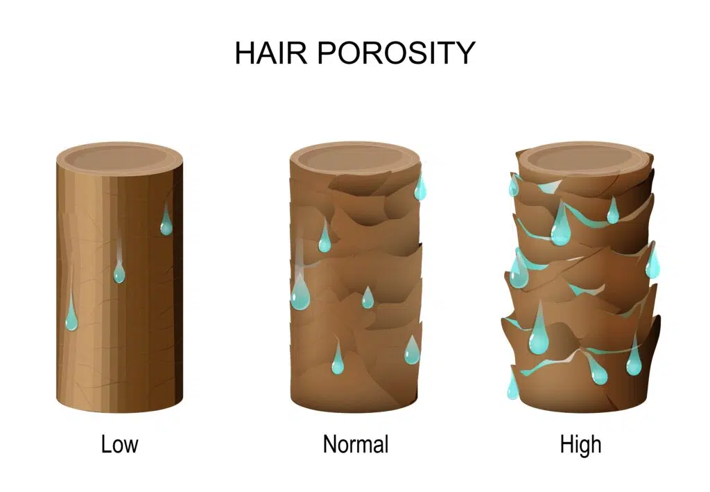 Scale showing from high to low hair porosity