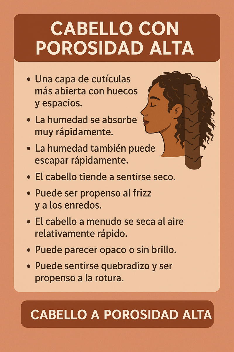 infográfica detallando las características del cabello de porosidad alta