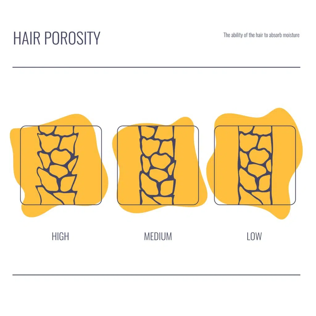 Low medium and high hair porosity comparison