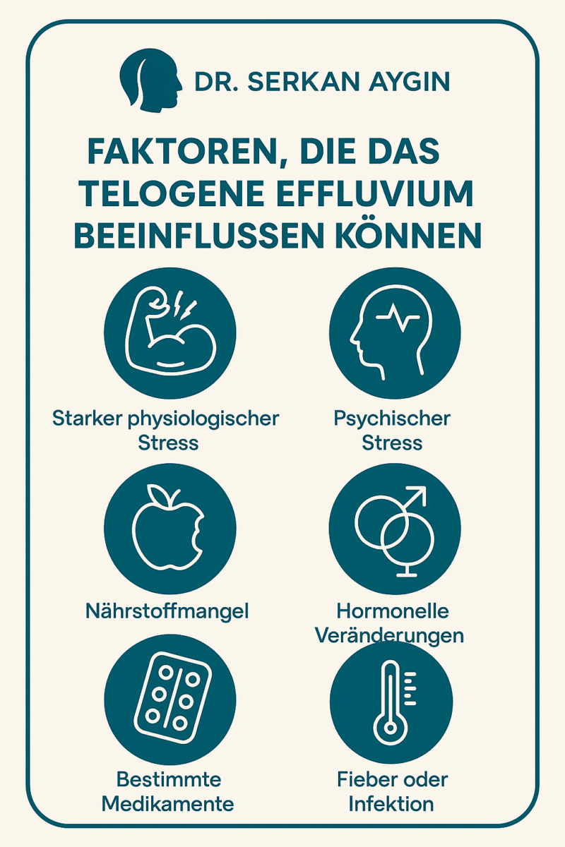 Faktoren, die das Telegenes Effluvium beeinflussen können (Infographik)
