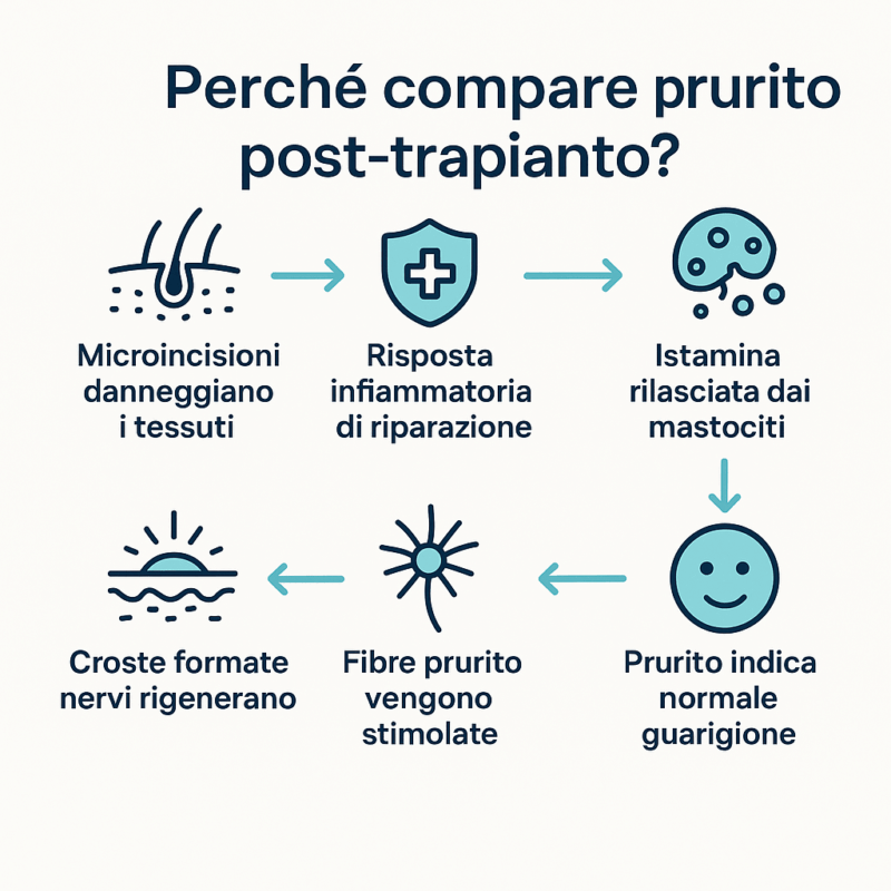 Infografica che rappresenta le cause del prurito post trapianto di capelli