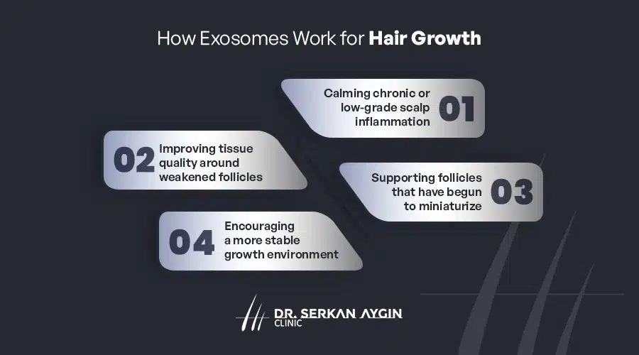 How exosomes support hair growth at the cellular level